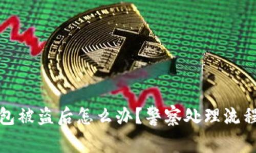 TP钱包被盗后怎么办？警察处理流程详解
