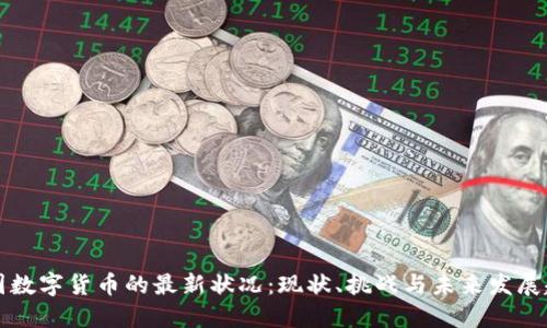 美国数字货币的最新状况:现状、挑战与未来发展趋势